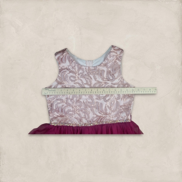 Preowned Rare Editions Pink/burgundy Embroidered Rhinestone Tulle Dress Girls 16 - Picture 5 of 9